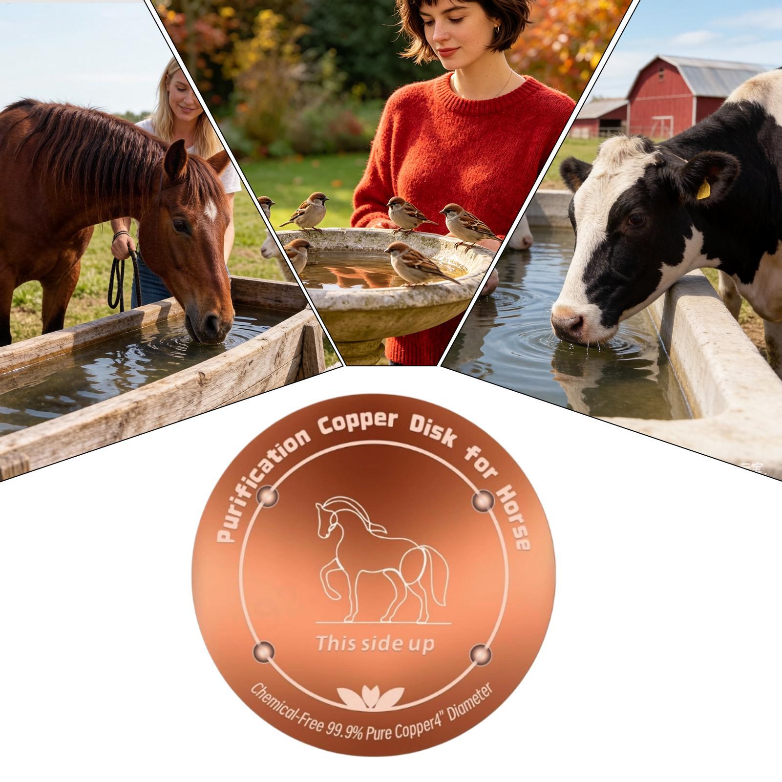 Farming A - 4 Inch Copper Purifier Cow Water