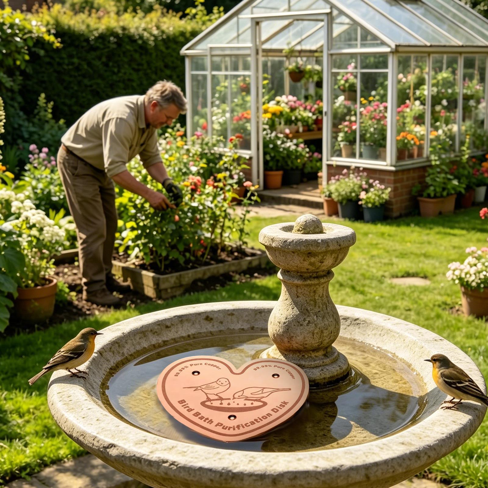 Bird Bath Cleaner Disc Solid M - Farming A review and price