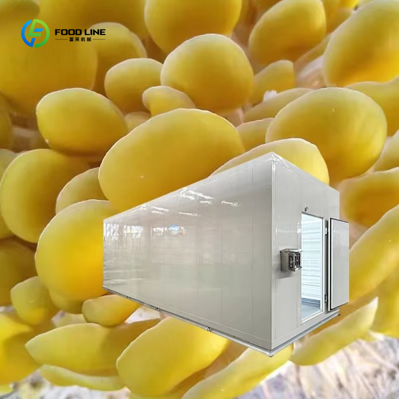 Smart Mushroom Growing Capsule - Smart Farming Technology In Agriculture review and price