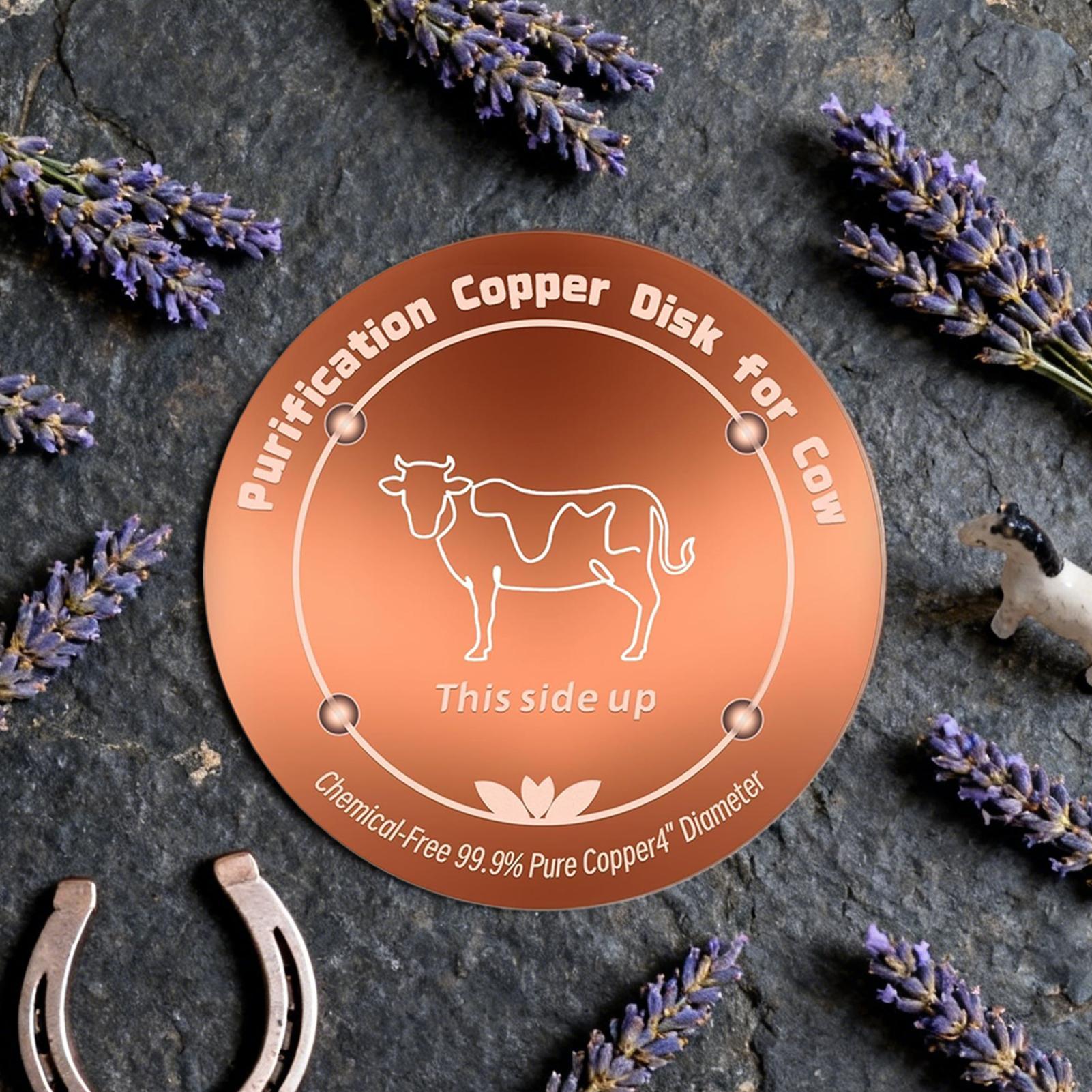 Bird Bath Disc with Three-Poin - Farming A review and price
