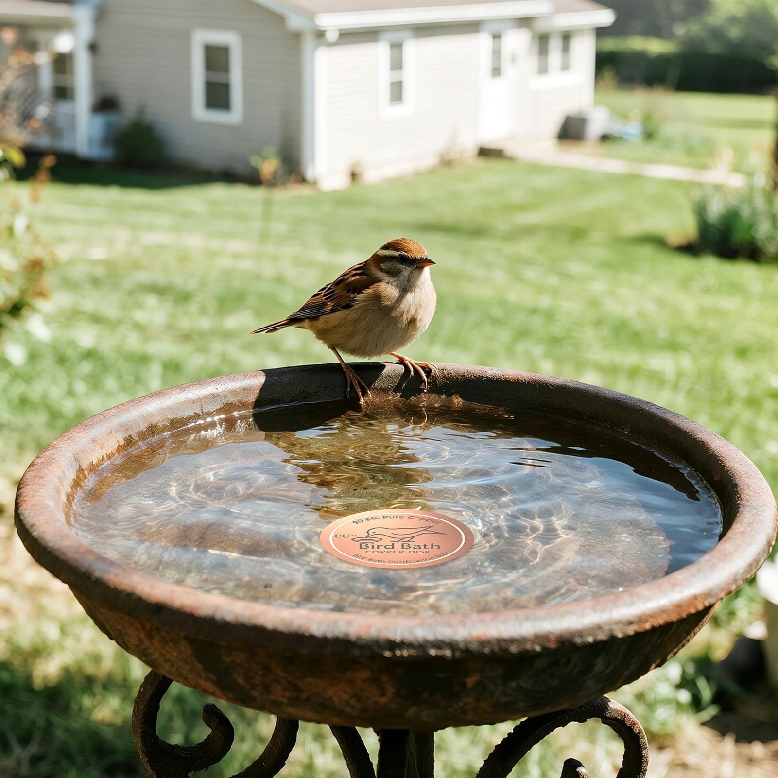 Copper Disc for Bird Bath 0.6m - Farming A review and price