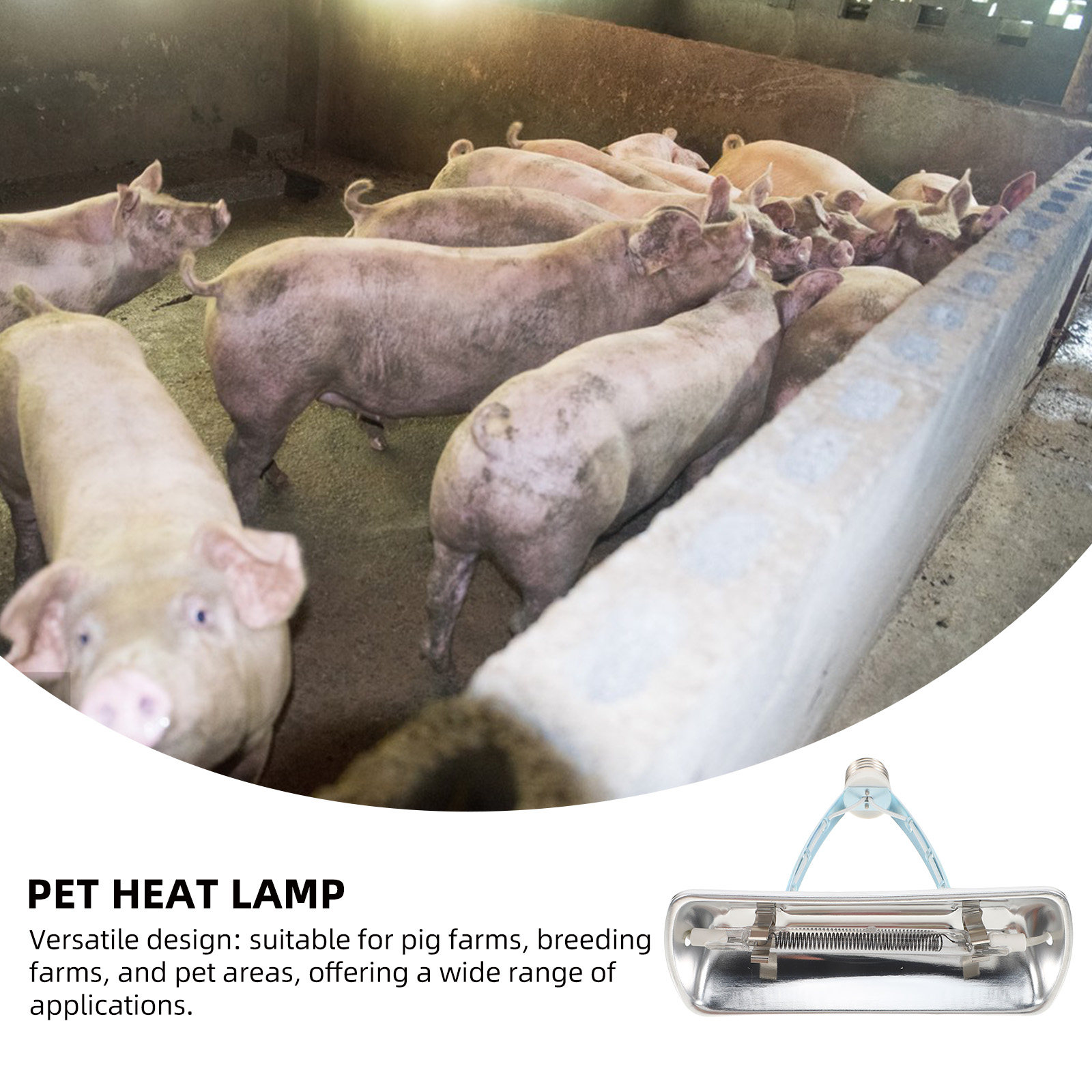 Pig Farm Preservation Lamp Chi - Farming A review and price