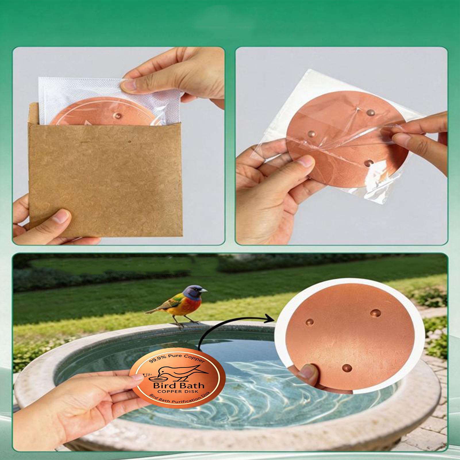 Bird Bath Copper Disc 0.6mm Th - Farming A review and price